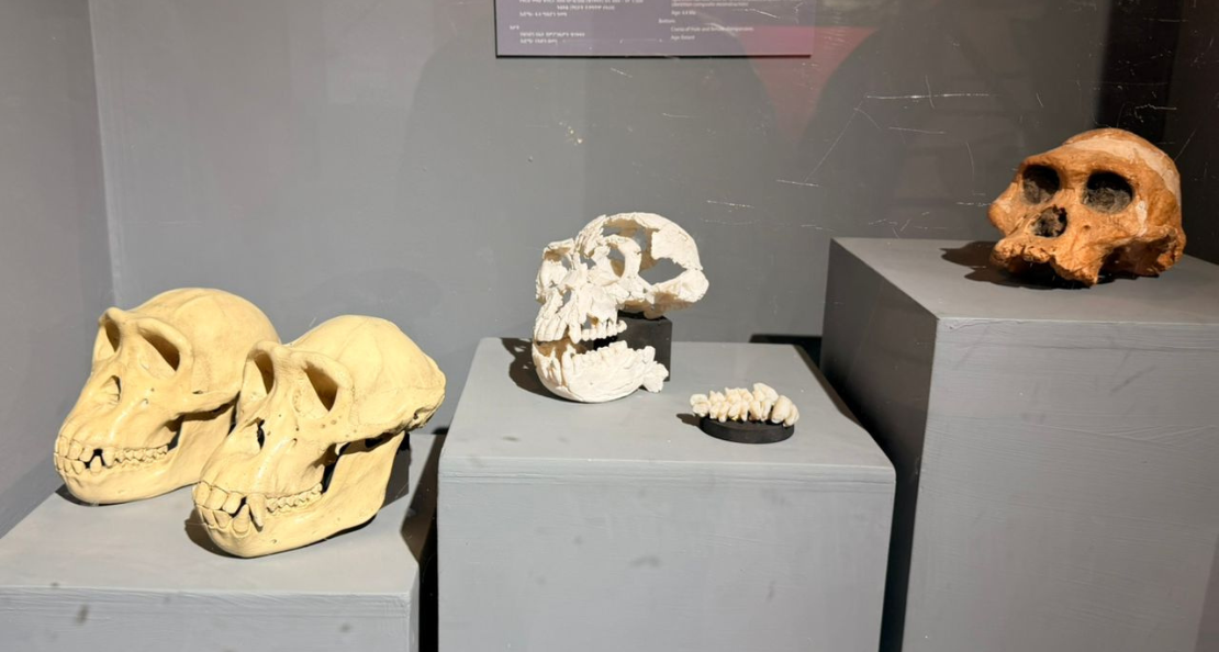Universal Tours à la découverte de l’Éthiopie : Une immersion au cœur du patrimoine africain